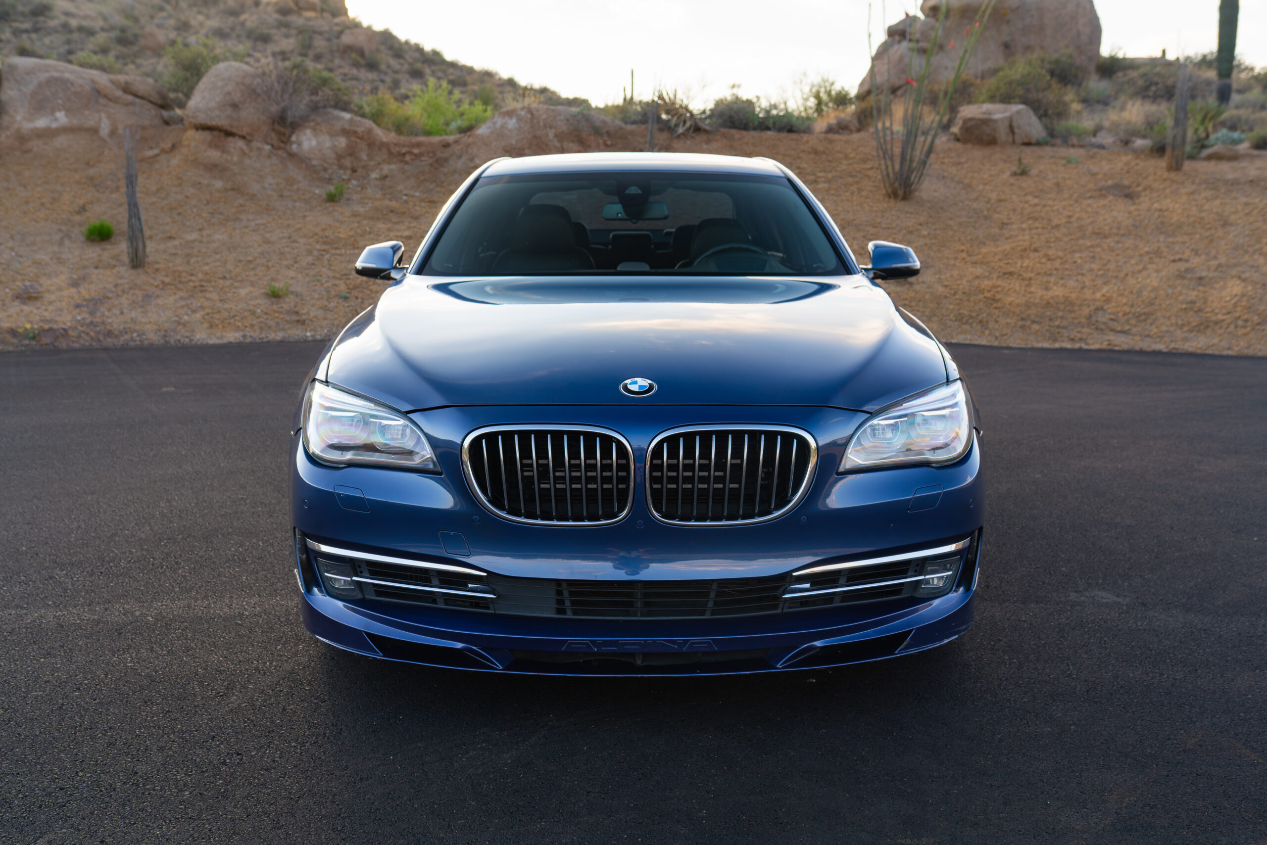 bdcc-alpina-02