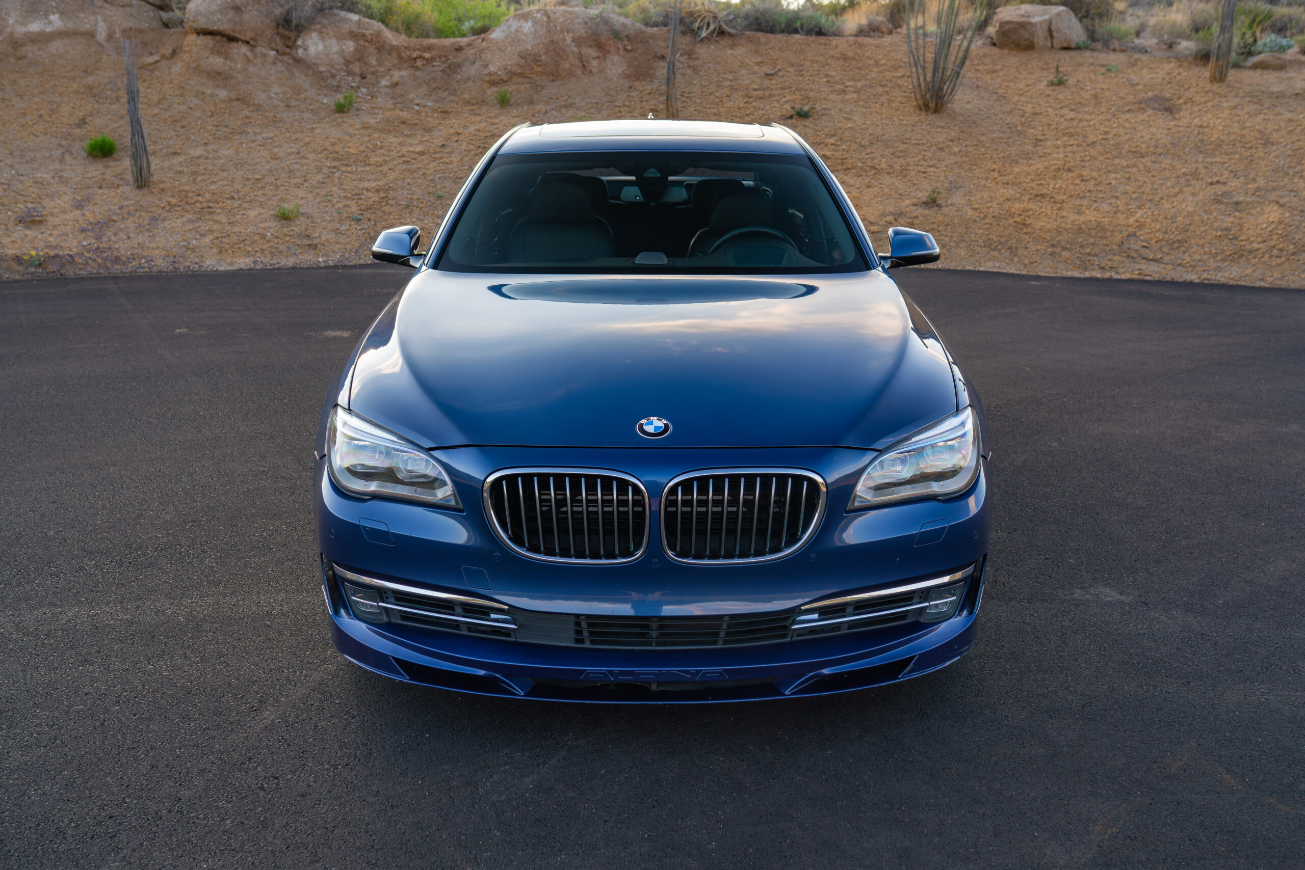bdcc-alpina-03