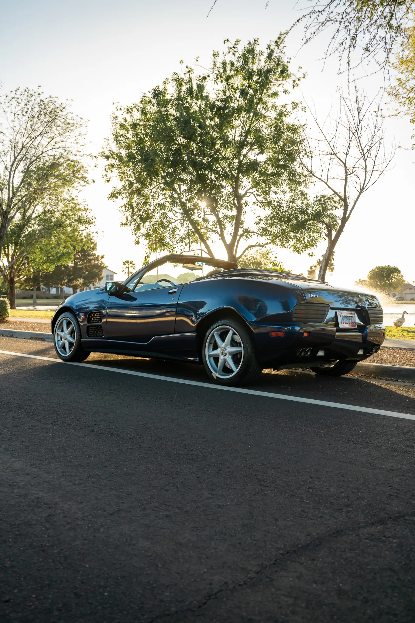 2000_qvale_mangusta_7r302074-72820