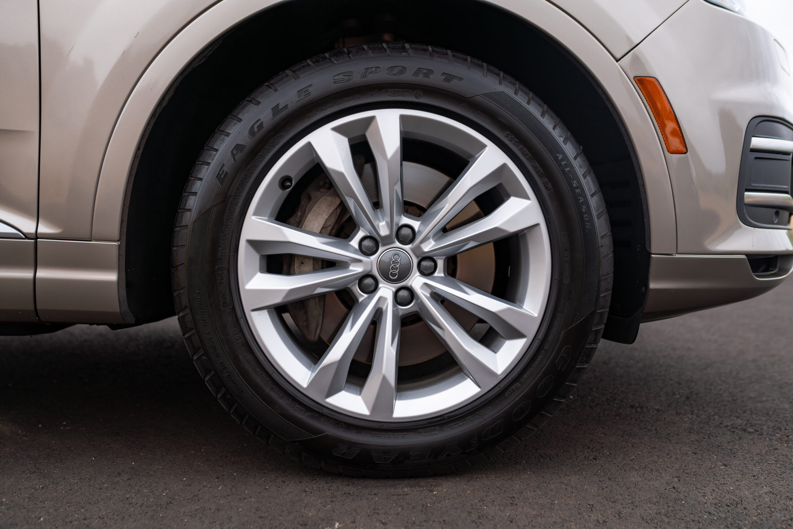 Q7-WT-1