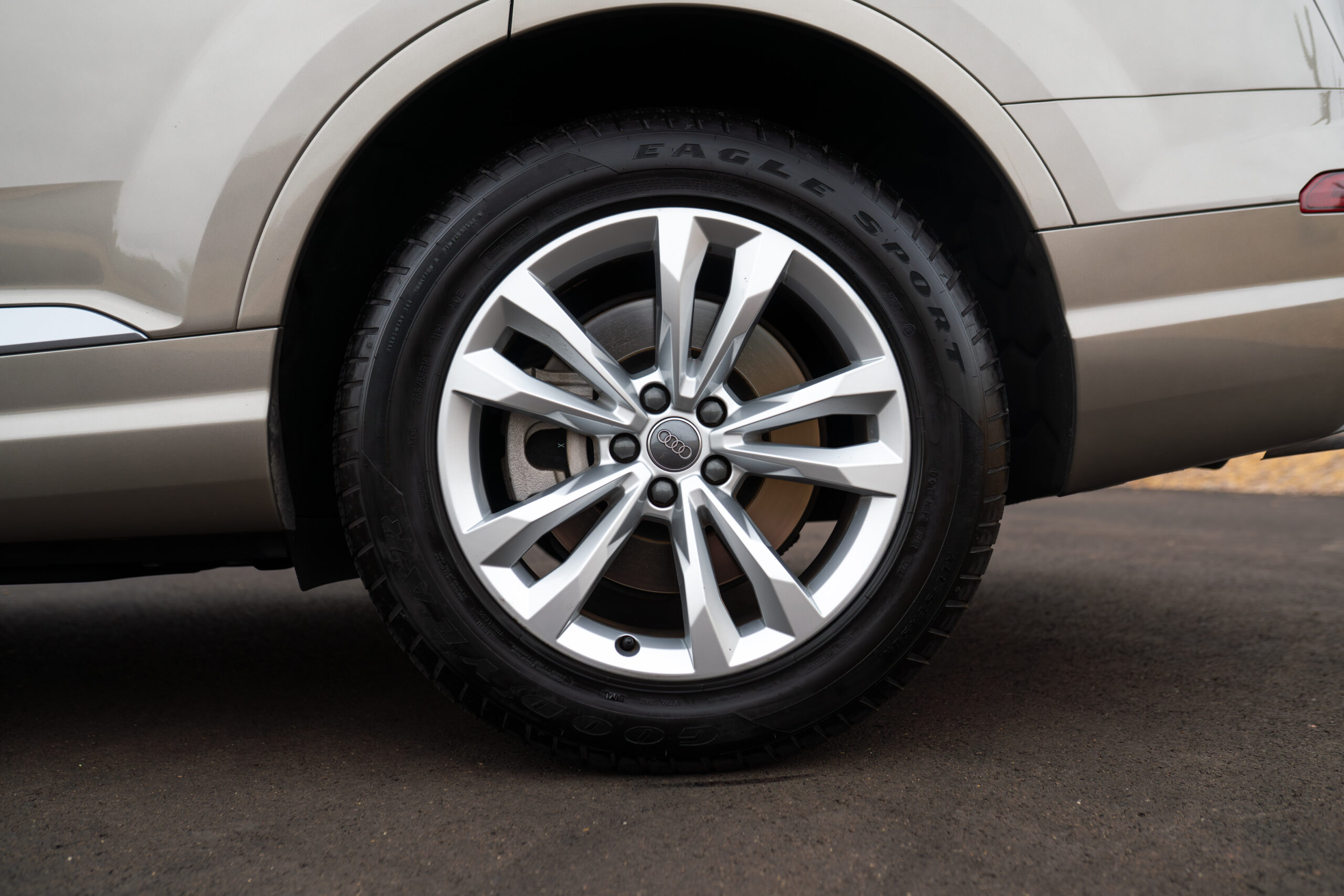Q7-WT-5