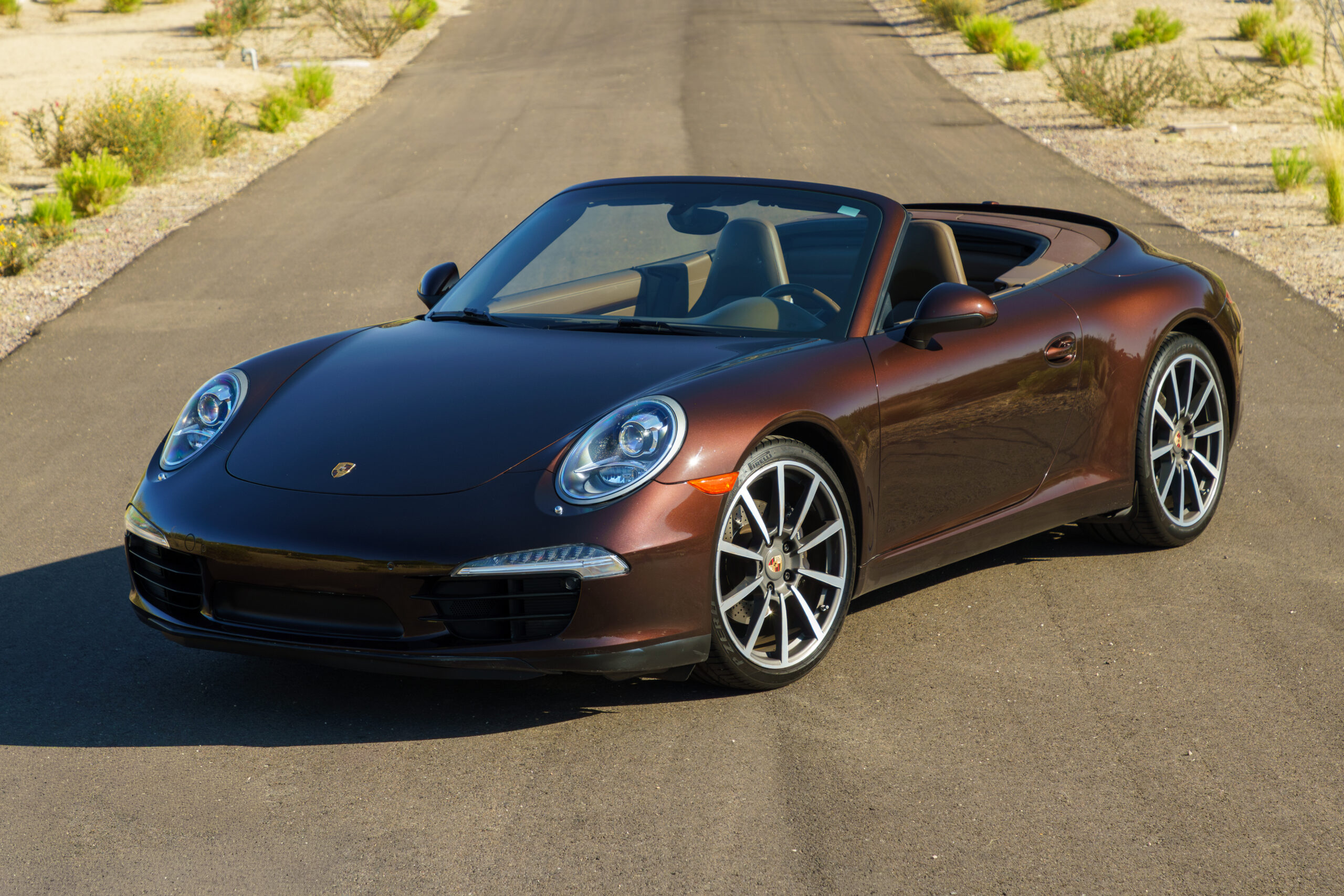 BDCC-Brown-991-1